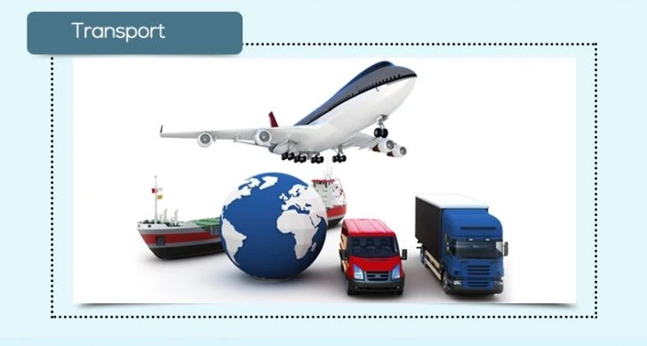 transport transport