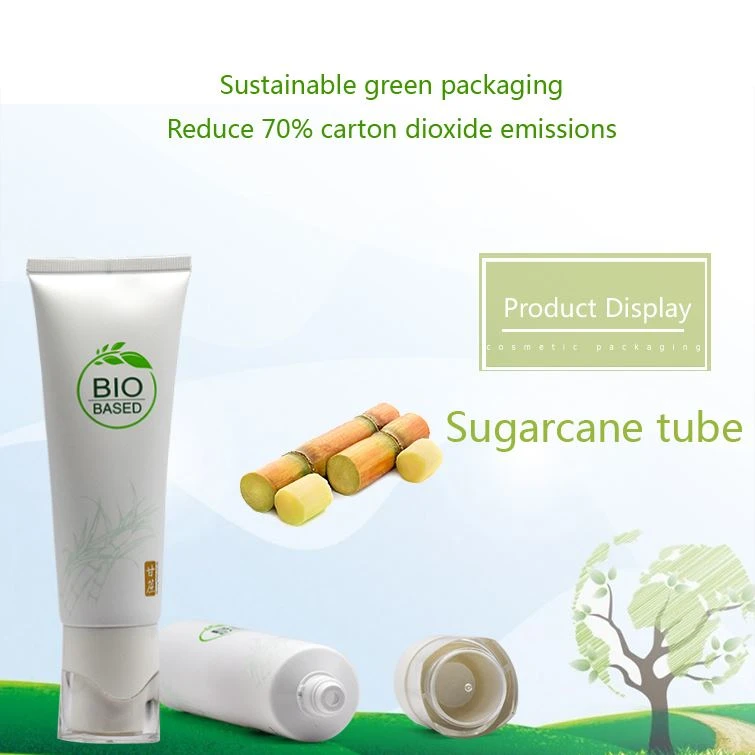 Sugarcane tube Sugarcane tube
