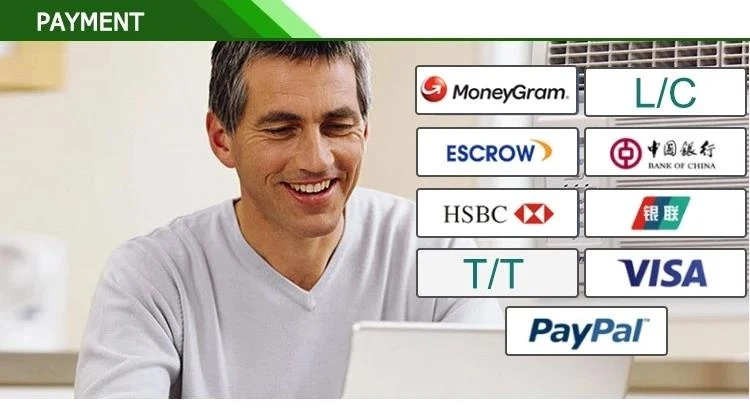 payment payment