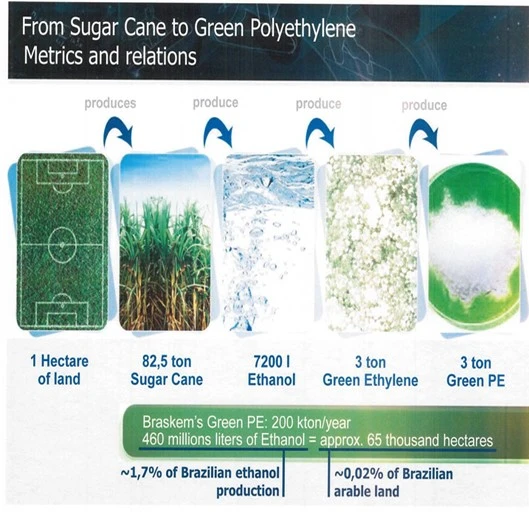 From sugar cane From sugar cane