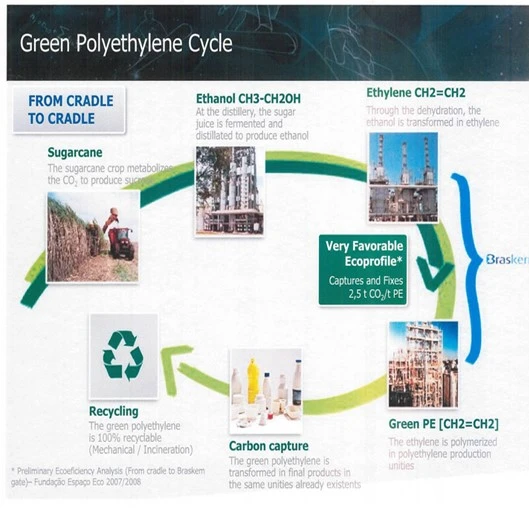 Green polyethylene cycle Green polyethylene cycle